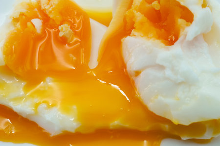 Two perfectly poached eggs with vibrant orange yolks sit on a white plate, with warm, runny yolks spilling out. This breakfast dish is a tasty start to the day.の写真素材