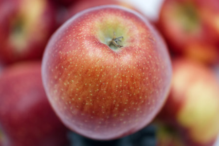 A close up view of fresh red apples highlights their glossy skin and vibrant hues. The apples are part of a larger display in a market, indicating a seasonal harvest.の写真素材