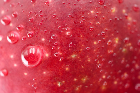 A red apple glistens with water droplets, highlighting its smooth skin and vibrant color. The close up view captures details of the fruit's surface, emphasizing its freshness.の写真素材