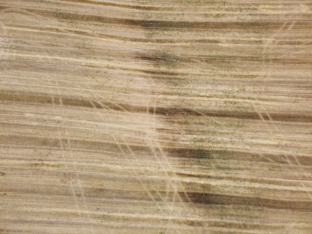 An aerial perspective showcases the intricate textures of land, with clear lines and patterns formed...