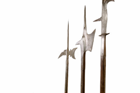 Various historic polearms are showcased against a clean white background, highlighting their unique...