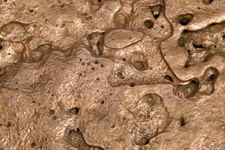 Close up view of a bronze like surface revealing intricate patterns and textures. The natural formations create a visually captivating display of light and shadow.の写真素材