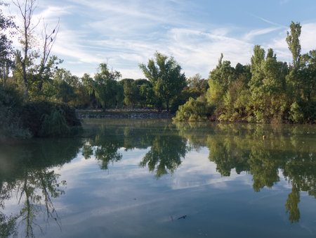 Calm water of the lake mirrors the greenery and blue sky in a tranquil setting. The scene captures the beauty of nature during the early hours of the day.の写真素材