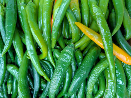 A vibrant assortment of green and yellow chili peppers is displayed at a local market. The peppers have a glossy texture, indicating freshness, and offer a range of shapes and sizes.の写真素材