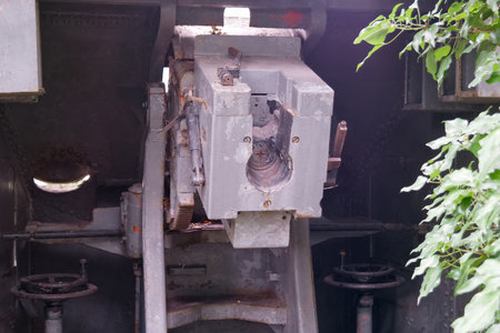 An antique artillery piece stands silently in the woods, partially covered in green leaves and...