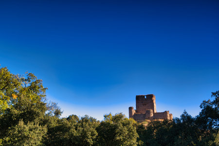 A majestic castle stands tall amid dense trees with vibrant green leaves, bathed in the warm glow of dust under a clear blue sky. The surrounding nature creates a serene atmosphere.の写真素材