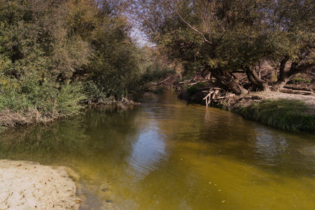 A river meanders through a landscape, with sunlight filtering through the trees. The water reflects the serene surroundings, creating a tranquil scene.の写真素材