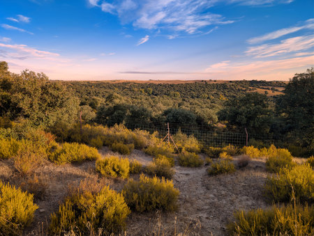 A serene countryside scene features rolling hills and green vegetation under a colorful sky at sunset. The peaceful landscape invites quiet reflection and appreciation of nature.の写真素材