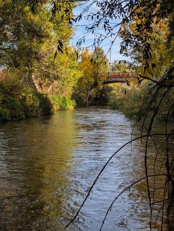 Bright sunlight filters through the trees along the calm river. A wooden bridge arches over the water, framed by vibrant autumn leaves and lush greenery, creating a serene setting.の写真素材