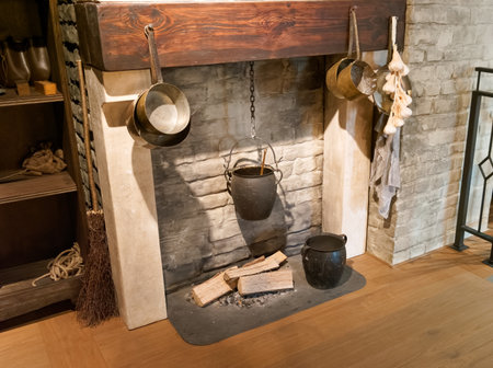 A cozy kitchen scene features a traditional fireplace with hanging cooking pots, a black iron cauldron, and wooden shelves filled with rustic items, creating a warm atmosphere.