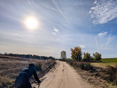 A cyclist travels along a dirt road in a tranquil rural area, surrounded by trees and fields. The bright sun shines overhead, creating a serene atmosphere on a clear day.の写真素材