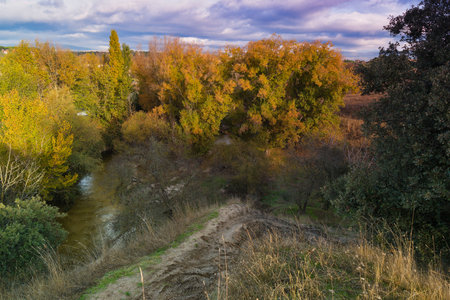 Golden autumn leaves decorate trees along a peaceful riverbank. A gentle slope leads down to the water, with tranquil scenery bathed in warm evening light.の写真素材