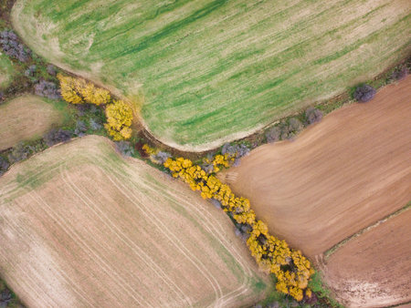 A landscape with fields in green and brown. A stream of trees with yellow leaves runs through, indicating autumn. The view is from above, highlighting the shapes of the land.の写真素材