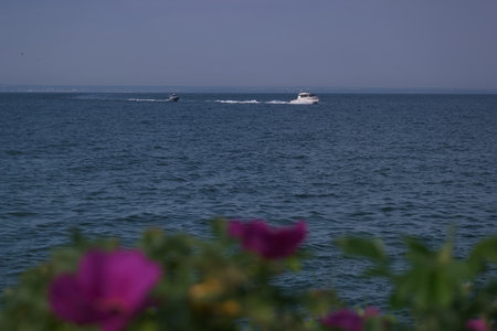 Two boats navigate the peaceful blue waters on a sunny day while vibrant flowers add color to the...