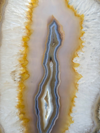 A slice of rock shows different layers of minerals with various colors. The rock has a unique...