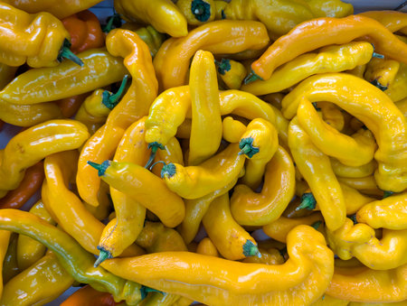 Yellow peppers are piled together in a market. The peppers vary in size and shape, attracting...