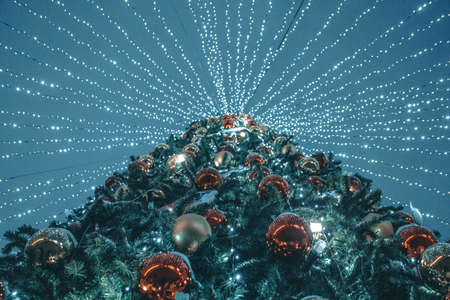 New year festive treeの写真素材