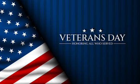 Happy Veterans Day United States of America background vector illustrationのイラスト素材