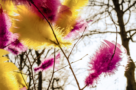 Traditional colourful feathers on trees for street decorations for Easter in Uppsala, Sweden