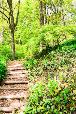 Wooden steps through green park in Keukenhof, The Netherlands. Day view