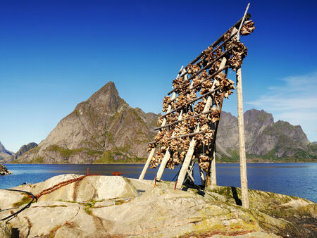 Scenery in Lofoten, Norwayの写真素材