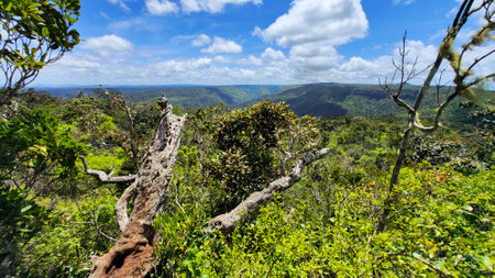 View from the top of the mountain on the forest and blue sky