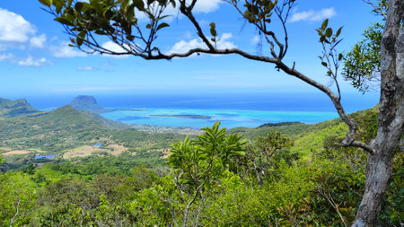Beautiful view from the top of the mountain on the island of Mauritius