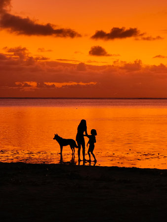 Silhouette of mother and daughter with dog on the beach at sunset. Mauritiusの写真素材