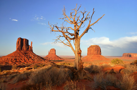 Monument Valley in Navajo Tribal Lands of Arizona and Utah United Statesの写真素材