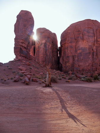 Sunset in Valley of Fire State Park, Nevada, United Statesの写真素材