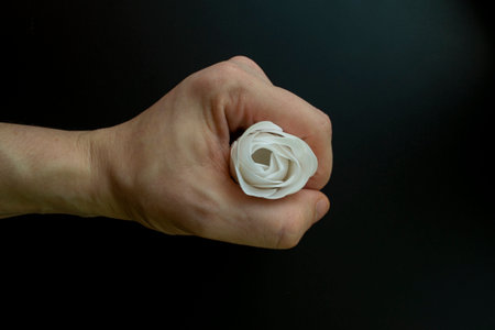 Rose in a fist on a black background.