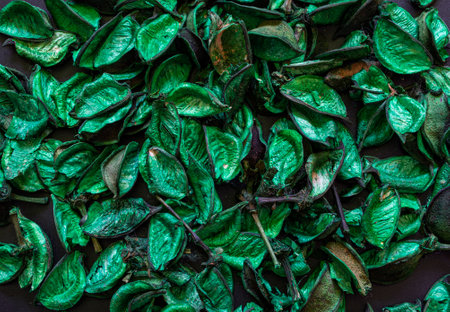 Green leaves background.の写真素材