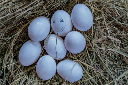 White eggs on the hay, one egg with a cheerful painted face.