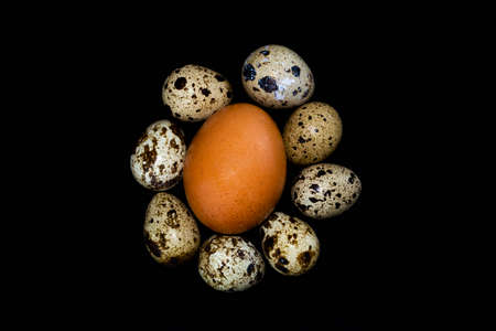 Chicken egg and quail eggs.の写真素材