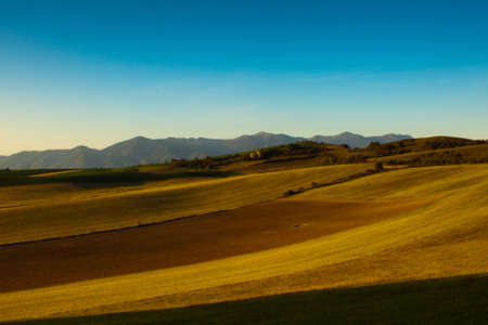 Colorful fieldsの写真素材