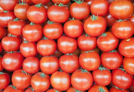 Red big tomatoes at the marketの写真素材