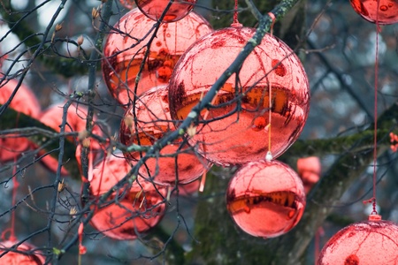 Background Image of amazing fairy handmade gifts in Christmaseve market in Salsburg-Hellbrunn, Austria.の写真素材