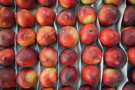 Image of beautiful fresh peaches packed in a box with a white paper on the market.の写真素材