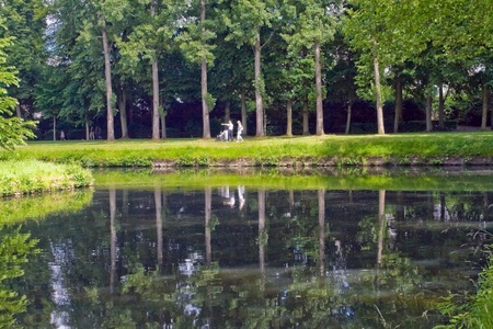 Landscape picture on the background of the reflections of trees. Green Park is a regular summer day near the Chateau, France.の写真素材