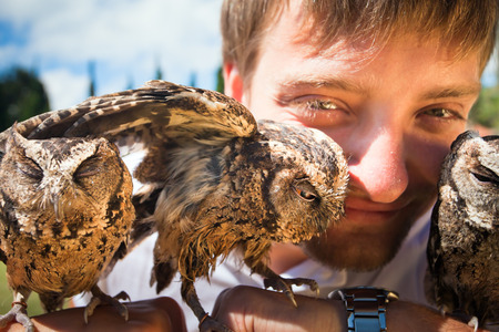 man holding on a hand of beautiful owls, Bratan, Bali, Indonesiaの写真素材
