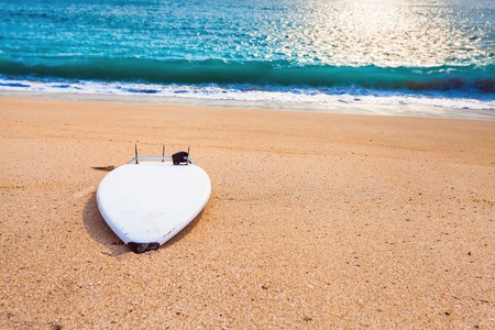 Surfboard on the wild beach with nobodyの写真素材