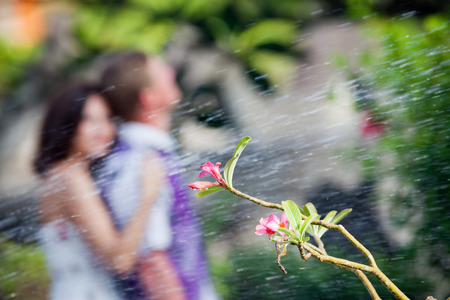 abstract couple at background with flowerの写真素材