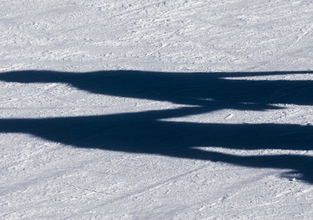 shadow background of group of teenagers on the ice holding hands at the Medeoの写真素材