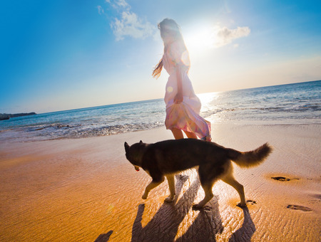 woman traveling with dog near the beachの写真素材