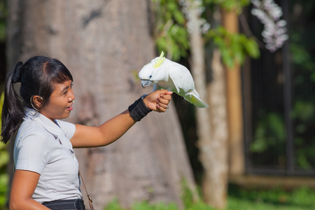 Young woman discussion with parrot in zooの写真素材