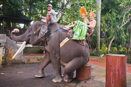 couple riding and traveling on an elephant at asiaの写真素材