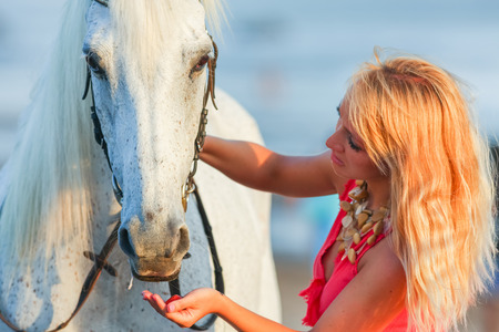 Beautiful young woman feeding a horseの写真素材