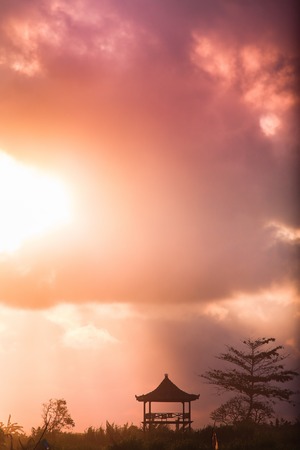 tree and religious gazebo at the background of sky and lightの写真素材