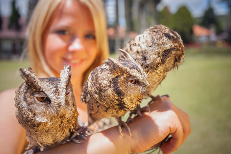 girl holding on a hand of beautiful owls, Bratan, Bali, Indonesiaの写真素材