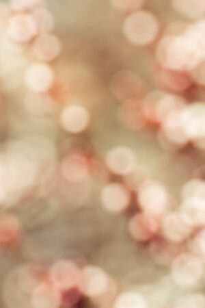abstract background of light bokeh flowers at trees in spring seasonの写真素材